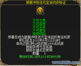 图19 新服冲级送元宝活动阅历证.png